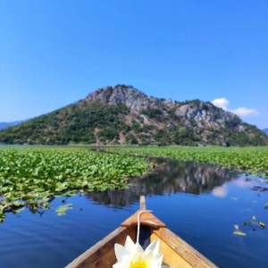 Le lac Skadar, dernière étape de cet été au Monténégro 🇲🇪